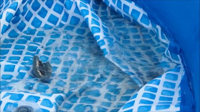 Sony A57 test video смотреть онлайн