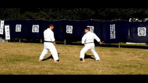 Wado Ryu Jujutsu Kempo Karatejutsu Demonstration - Meiji Jingu Reisai 2017