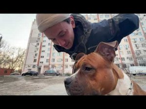 Гуф! Наши успехи! Проблема с вниманием на улице!