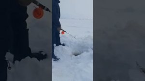 Зимняя рыбалка на щуку на реке Обь