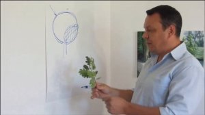 Как нарисовать дерево ? Живопись маслом. Пейзаж.