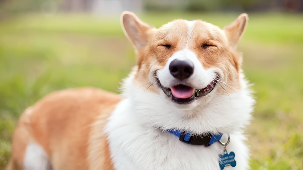 Забавные истории #10