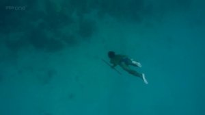 Human planet Water World