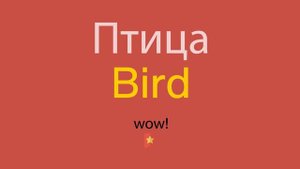Птица по-английски