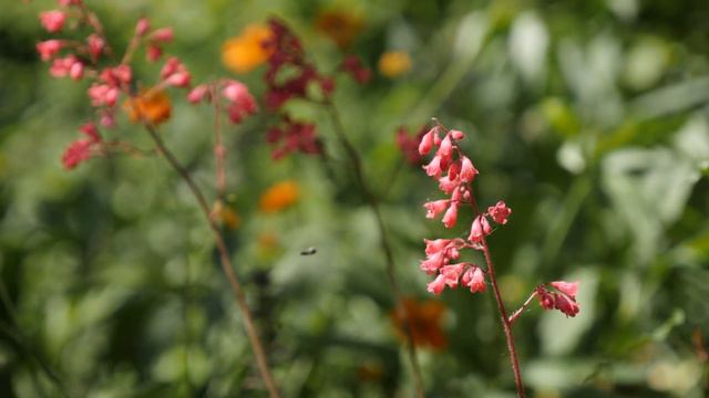 Сборник Самых Невероятно Красивых Божественная Сергей Чекалин музыка до глубины Души! смотреть онлайн