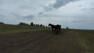 село Сростки, гора Пикет, памятник Василию Макаровичу Шукшину, Алтай 2022