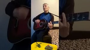 Журавли  караваном