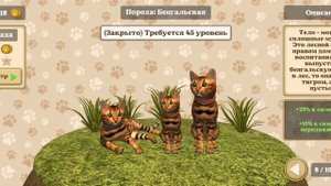 Обзор на игру (симулятор кота и кошки)