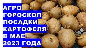 Агрогороскоп посадки картофеля в мае 2023 года. Агрогороскоп посадки картоплі в травні 2023 року