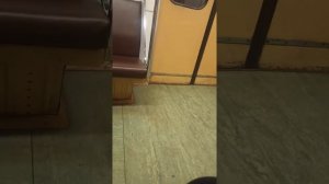 Станция метро "Царицыно"