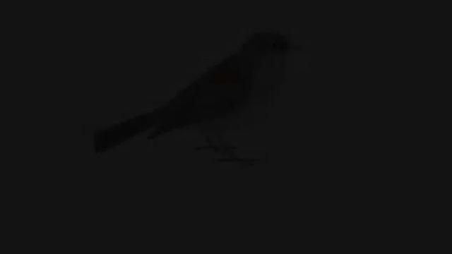 Topography смотреть онлайн