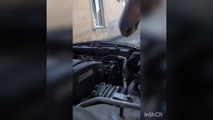 замена правой  опоры (подушки) двигателя   opel insignia, z18xer 2008г