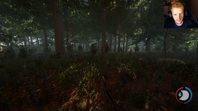 THE FOREST - EL REGRESO AL BOSQUE #1 - GAMEPLAY ESPAÑOL смотреть онлайн