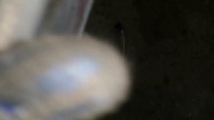 ситроен пикассо с4 турбина