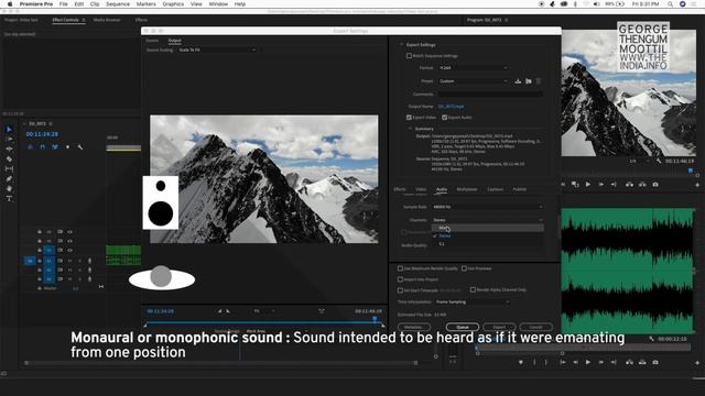 Premiere Pro Whatsapp video export demystified & Custom thumbnails for Whatsapp videos смотреть онлайн