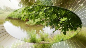 Проект для ПроШоу Продюсер