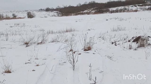 Зимняя рыбалка, без рыбы не остался 🤦 смотреть онлайн