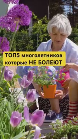 🙅🏻Эти многолетники никогда НЕ ЗАБОЛЕЮТ (почти никогда)