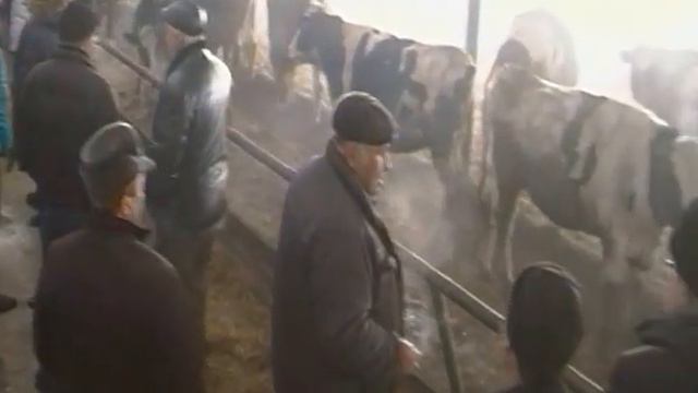 Животноводческий комплекс СПК Коелгинское