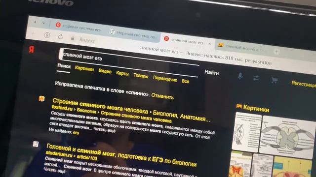 готовлюсь к ЕГЭ по биологии ЗА НЕДЕЛЮ смотреть онлайн