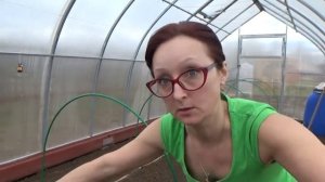 6 соток 21 апреле. Парник  для выращивания рассады капусты и цветов однолетников