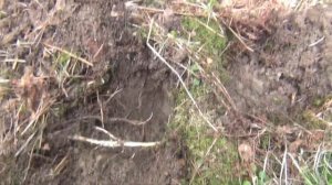 РЕАЛЬНЫЙ ПОИСК с металлоискателем GARRETT APEX и катушкой Magic 13''