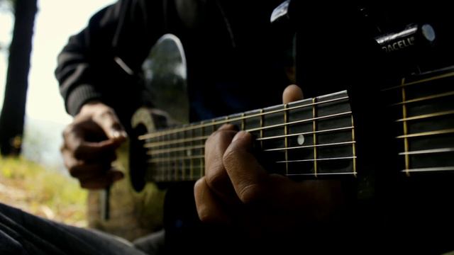 HUA MAIN - ANIMAL | Ranbir Kapoor | Rashmika M | Sandeep V | Raghav, Manoj M | Fingerstyle Guitar