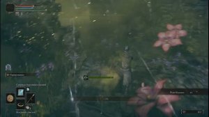 ГАЙД Где найти учителя Магии в Elden Ring - Чародейку Селлену (как выучить новые заклинания)