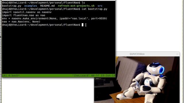 Fluent Nao in Interactive Python Shell смотреть онлайн