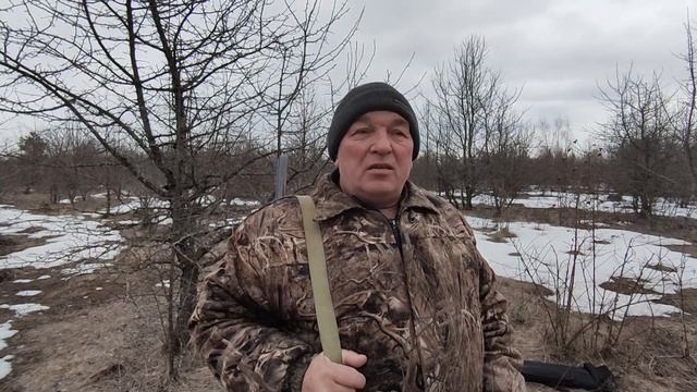 Почему эта охота нравится многим? Охота на вальдшнепа 2022 04 05 смотреть онлайн