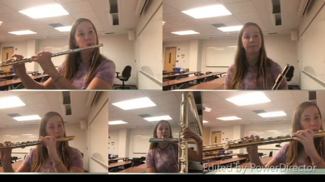 JONAS BROTHERS - Sucker Flute Cover смотреть онлайн