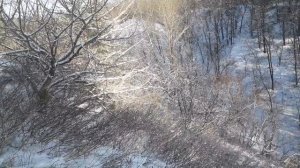 Охота На Зайца С РПГ! Такого Зайца Мало Кто Видел!