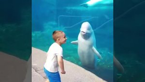 Морские животные пугают детей