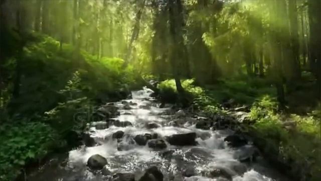 Сильнейшая медитация на расслабление и наполнение энергией смотреть онлайн