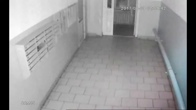 Этой ночью делать было нечего. смотреть онлайн