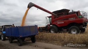 Уборка кукурузы 2019. Дкс 4014 Монсанто.