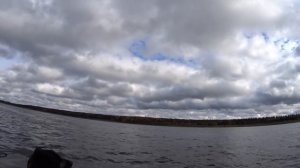 13 дней в тайге. Одиночный поход сплав по реке Печора. Часть 9. Деревни в глухой тайге. Чага