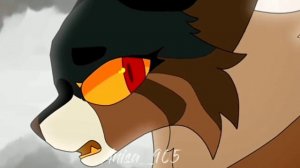 Warriors cats Mapleshade🖤 (Song past lives) Коты воители кленовница🥺