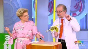 Три проблемы на даче. Жить здорово! Фрагмент выпуска от 08.05.2019