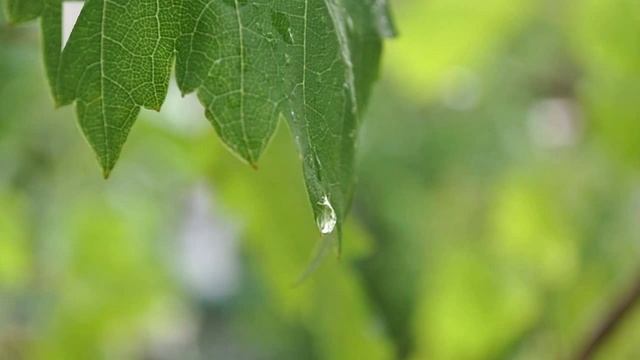 Развивающие игры +для детей 3 лет дома смотреть онлайн