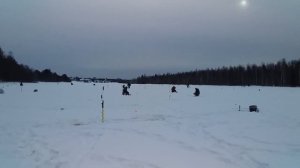 Кубок г. Луза по подледной рыбалке на мормышку!!!