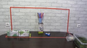 Коряги для аквариума / чем может закончиться прополка