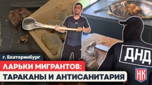 СОВМЕСТНЫЙ РЕЙД С РУССКОЙ ОБЩИНОЙ: Нарушения правил торговли на Пехотинцев 5, Екатеринбург