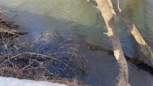 Магнитная рыбалка. Рыбалка на поисковый магнит НЕПРА на 400кг