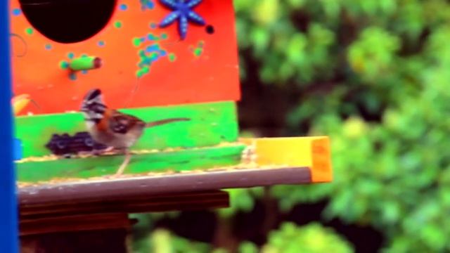 Hostal La Bodeguita смотреть онлайн