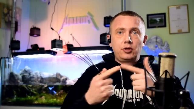 Коряга в аквариуме 2.0: варим, солим, топим! смотреть онлайн