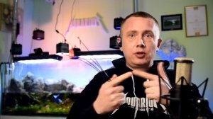 Коряга в аквариуме 2.0: варим, солим, топим!