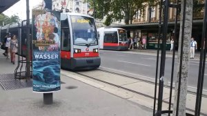 Straßenbahn Linie D Dr. Karl Renner Ring in Wien(1)