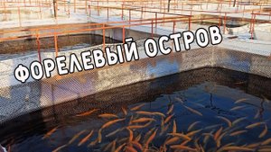 Форелевый остров (г. Иркутск)