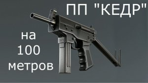 ПП "Кедр"  выстрел на 100 метров